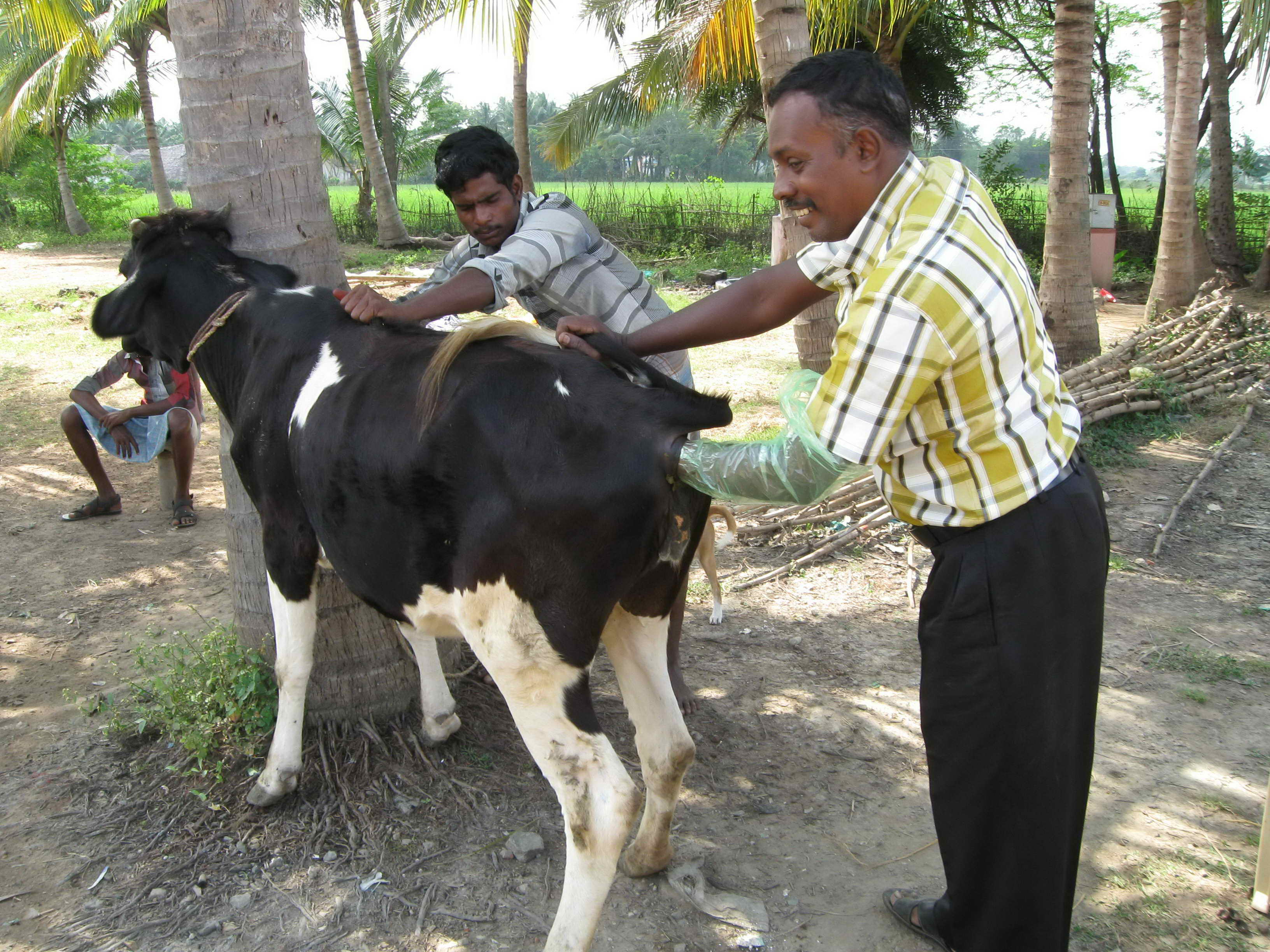 Read more about the article Veterinary Camp